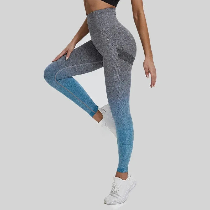 Leggings sans couture pour femmes