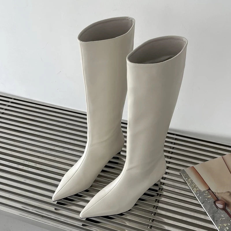 Bottes sans lacet bas talons fins bout pointu pour femmes