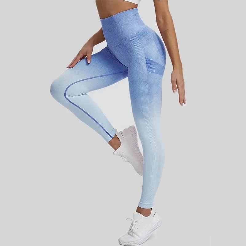 Leggings sans couture pour femmes