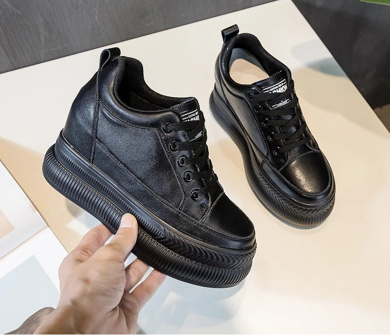 47645021274451|47645021372755|47645021471059|47645021503827|47645021536595|47645021569363