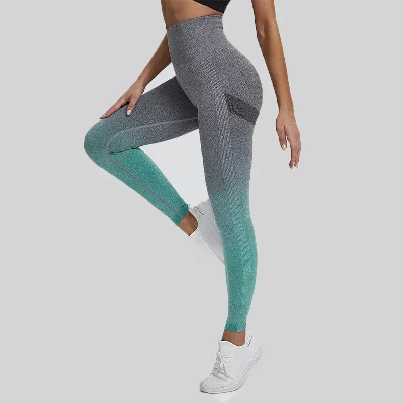 Leggings sans couture pour femmes