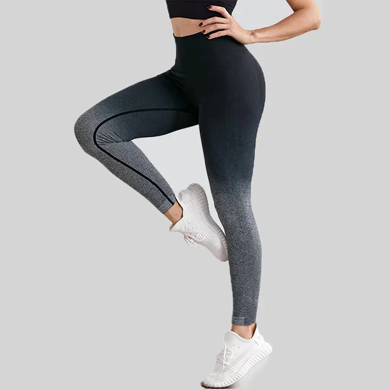 Leggings sans couture pour femmes