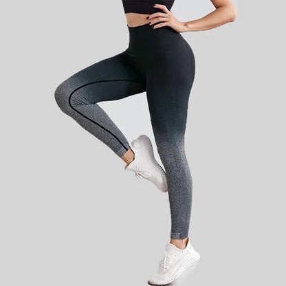 Leggings sans couture pour femmes