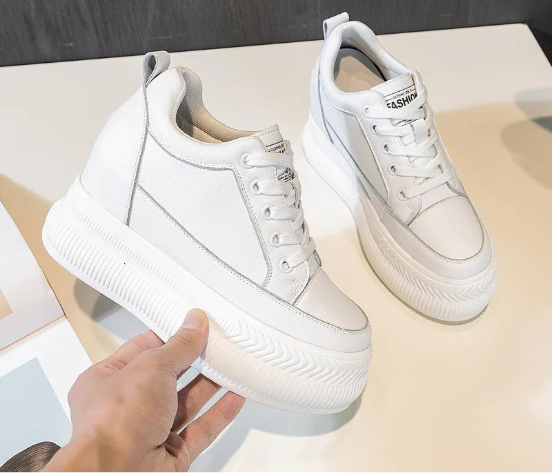 47645020881235|47645020946771|47645021012307|47645021077843|47645021143379|47645021208915